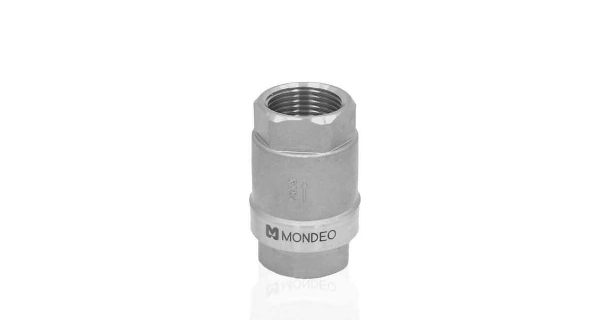 Valvola di ritegno in acciaio inox | Acquista online al miglior prezzo