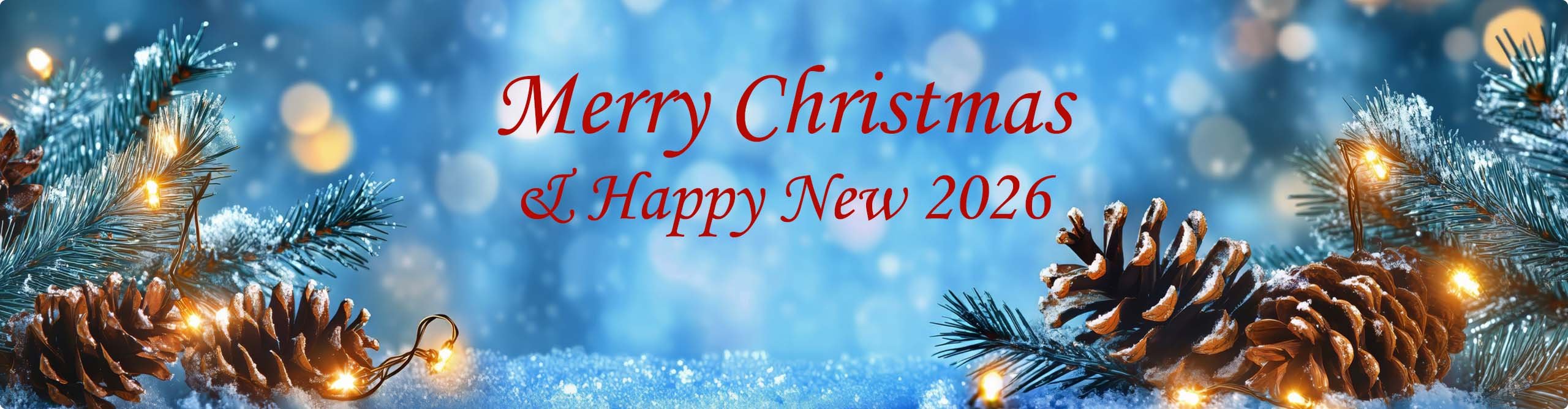 Merry Christmas and happy new 2026 | Water Fitters