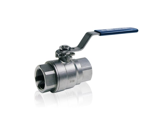GLOBE 2P NPT