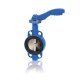 BUTTERFLY VALVE WAFER IRON-316 DN50 EPDM
